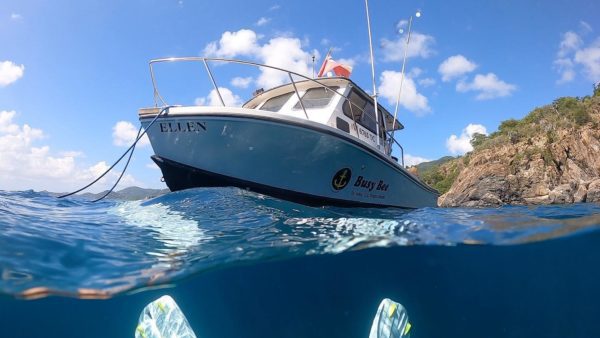 Busy Bee Charters and Dive Shop Closes Their Doors 1