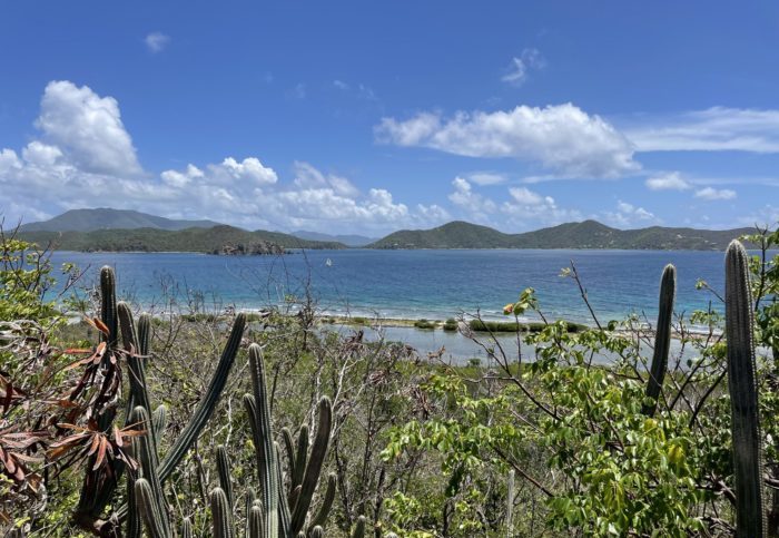 St. John Island Traffic Report Part Two: Furry Friends and Coral Bay 9