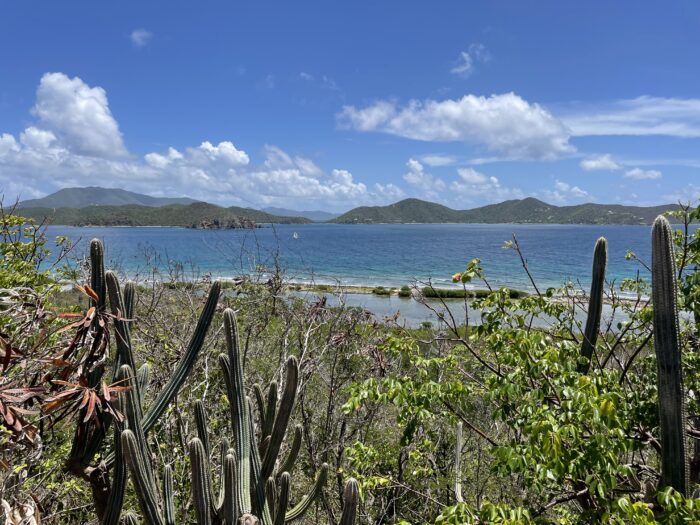 St. John Island Traffic Report Part Two: Furry Friends and Coral Bay