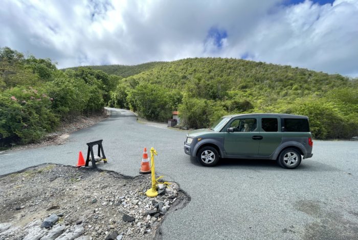 St. John Island Traffic Report Part Two: Furry Friends and Coral Bay 8