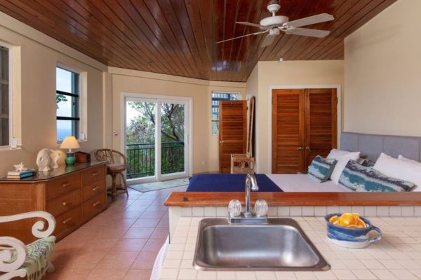 Where to Stay Spotlight: WindSong Villa is the Perfect Home for Your Next Vacation! 14