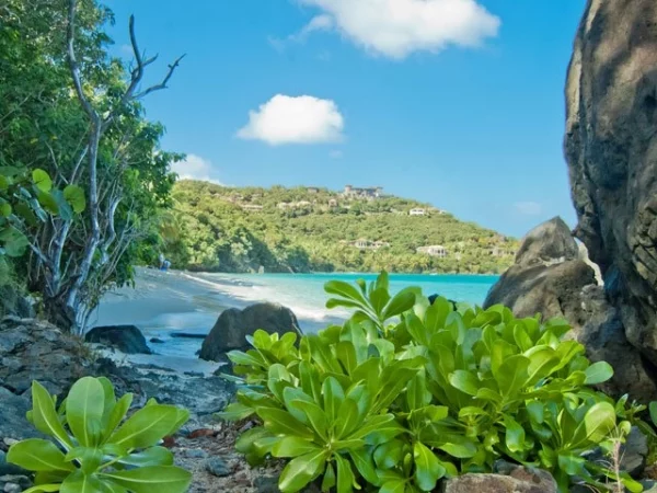 Green Eats on St. John: Tips and Tricks for Staying on a Healthy Track During Your Stay 1