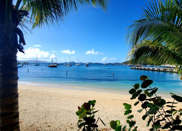 Travel Tip:  COVID Testing and Proof of Vaccination Are NOT Required for Entry to USVI