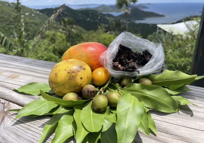 Delicious and Juicy: Local Fruits of St. John and Where to Find Them!