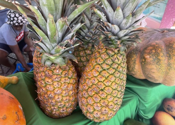 Delicious and Juicy: Local Fruits of St. John and Where to Find Them! 8