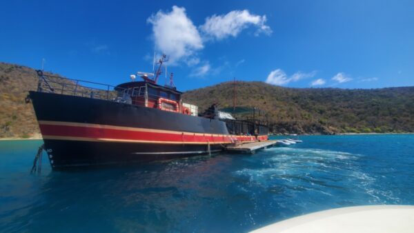Getting to the BVI and What to Expect Upon Arrival 13