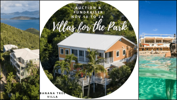Looking for an Incredible Winter Getaway? "Villas for the Park" Auction Kicks off this Friday 3