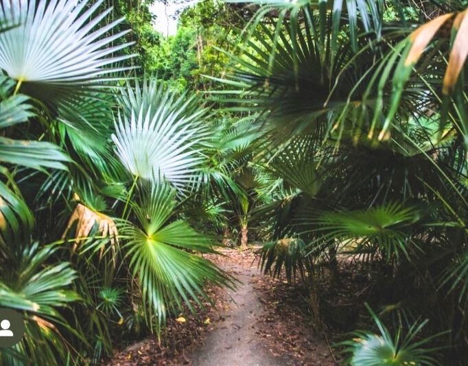 A Different Kind of Getaway: Work Exchange Program in St. John's National Park 11